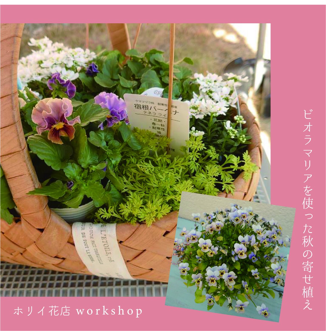 寄せ植えワークショップの画像