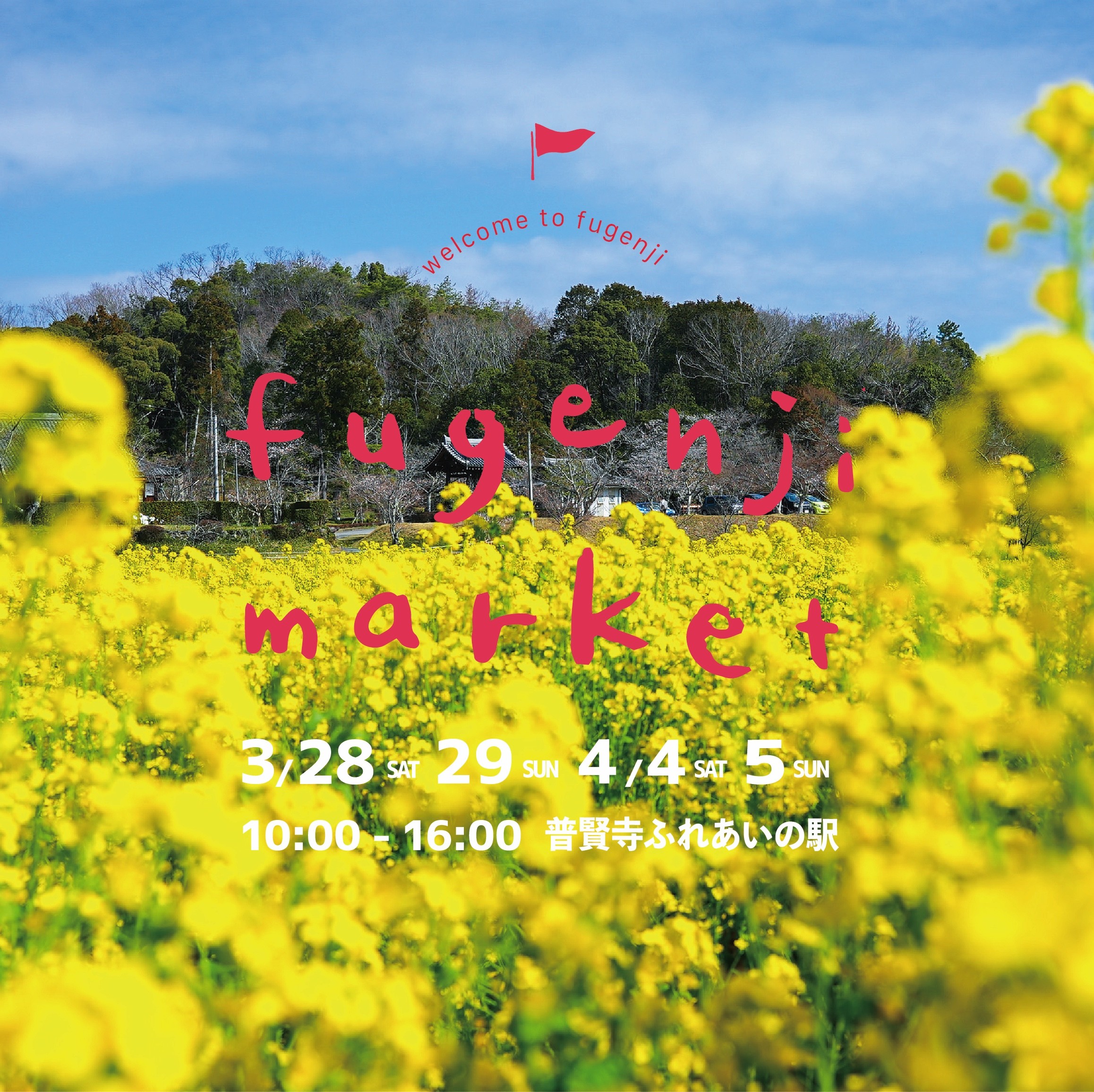 fugenjimarketの画像