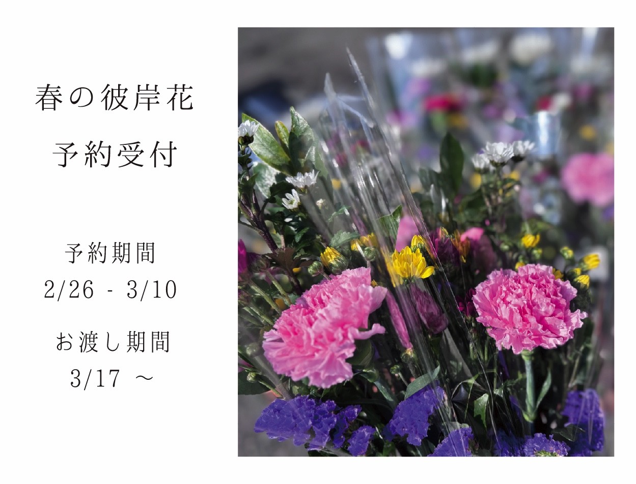 彼岸の花予約の画像