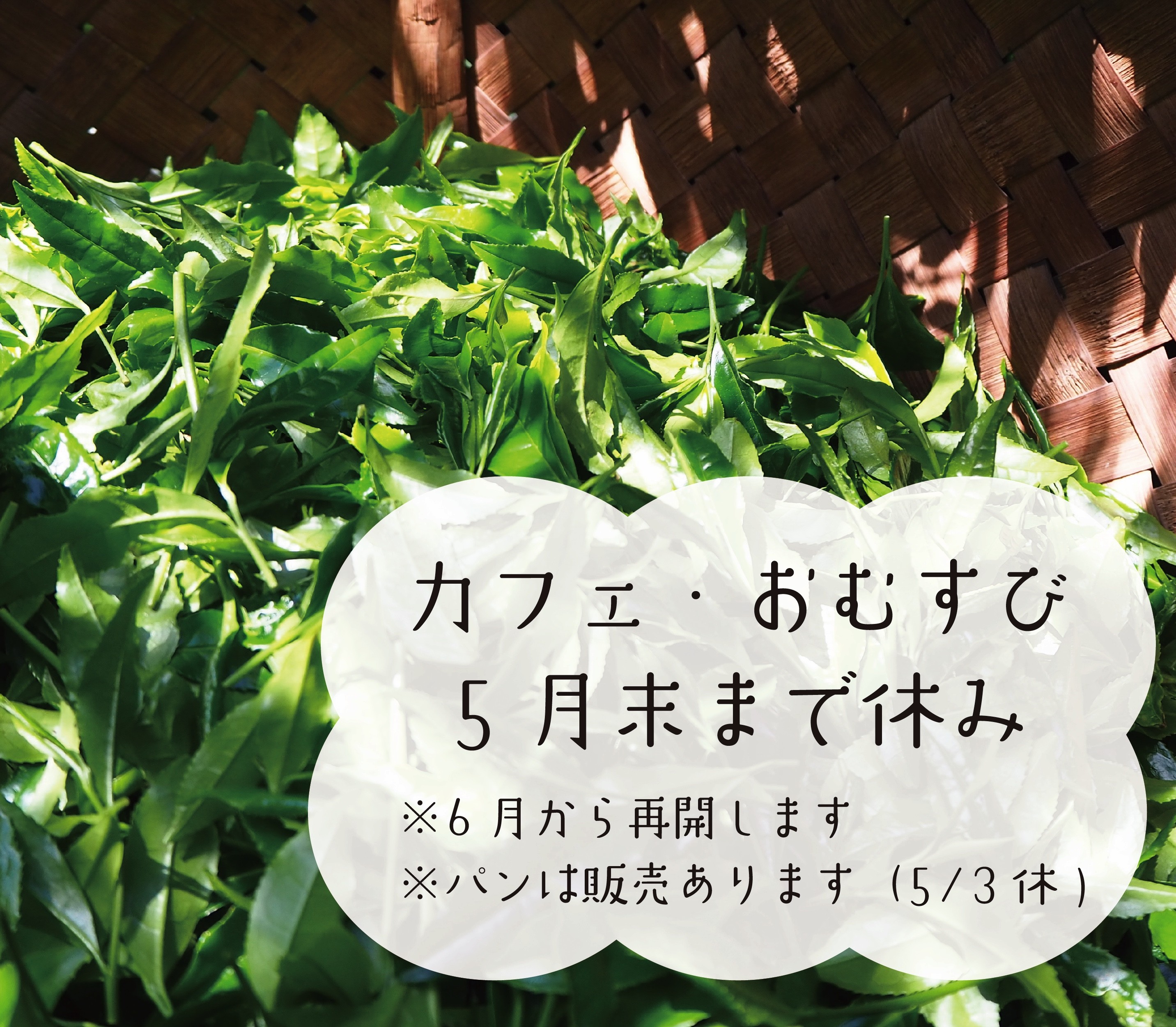 カフェの休みの画像