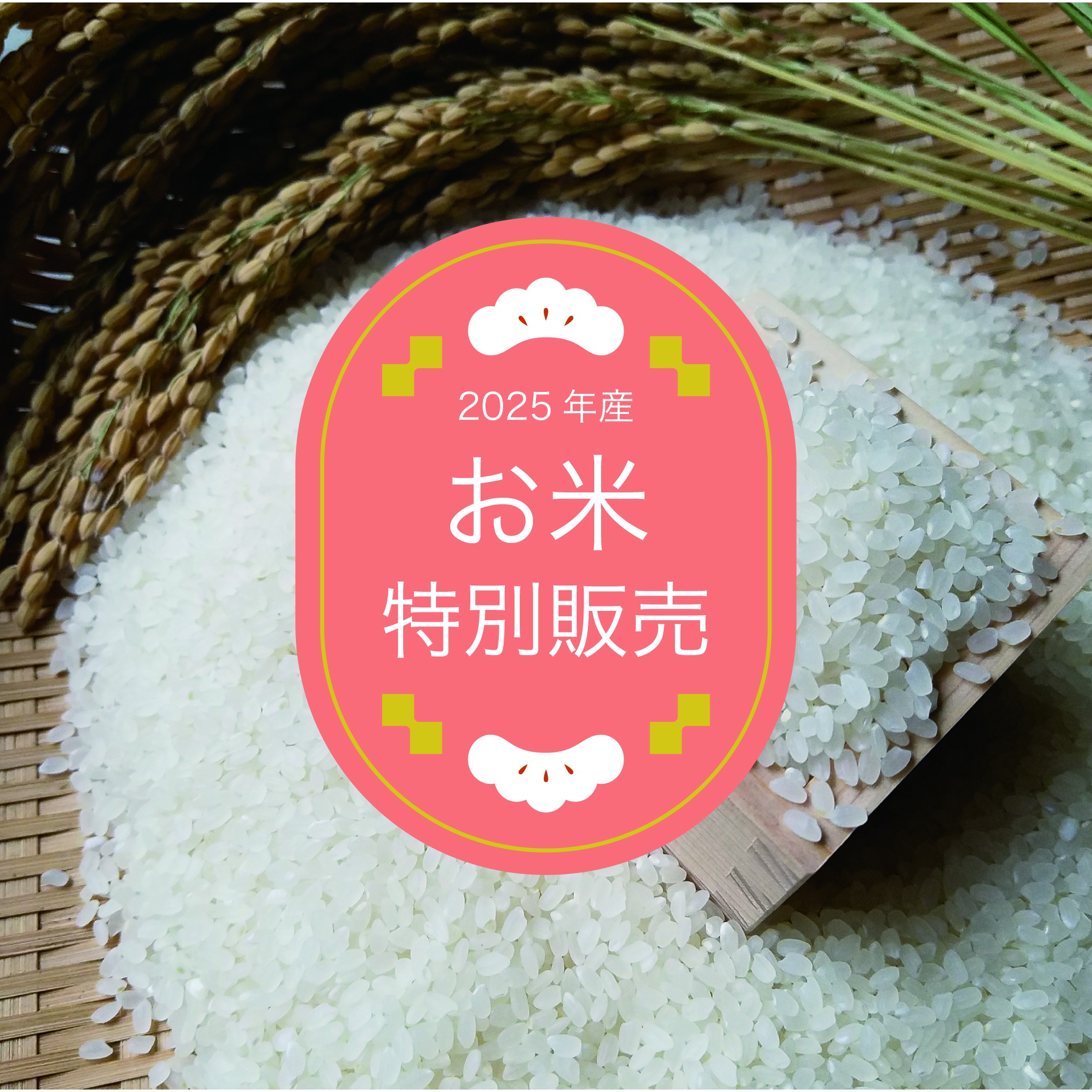 お米特別販売の画像