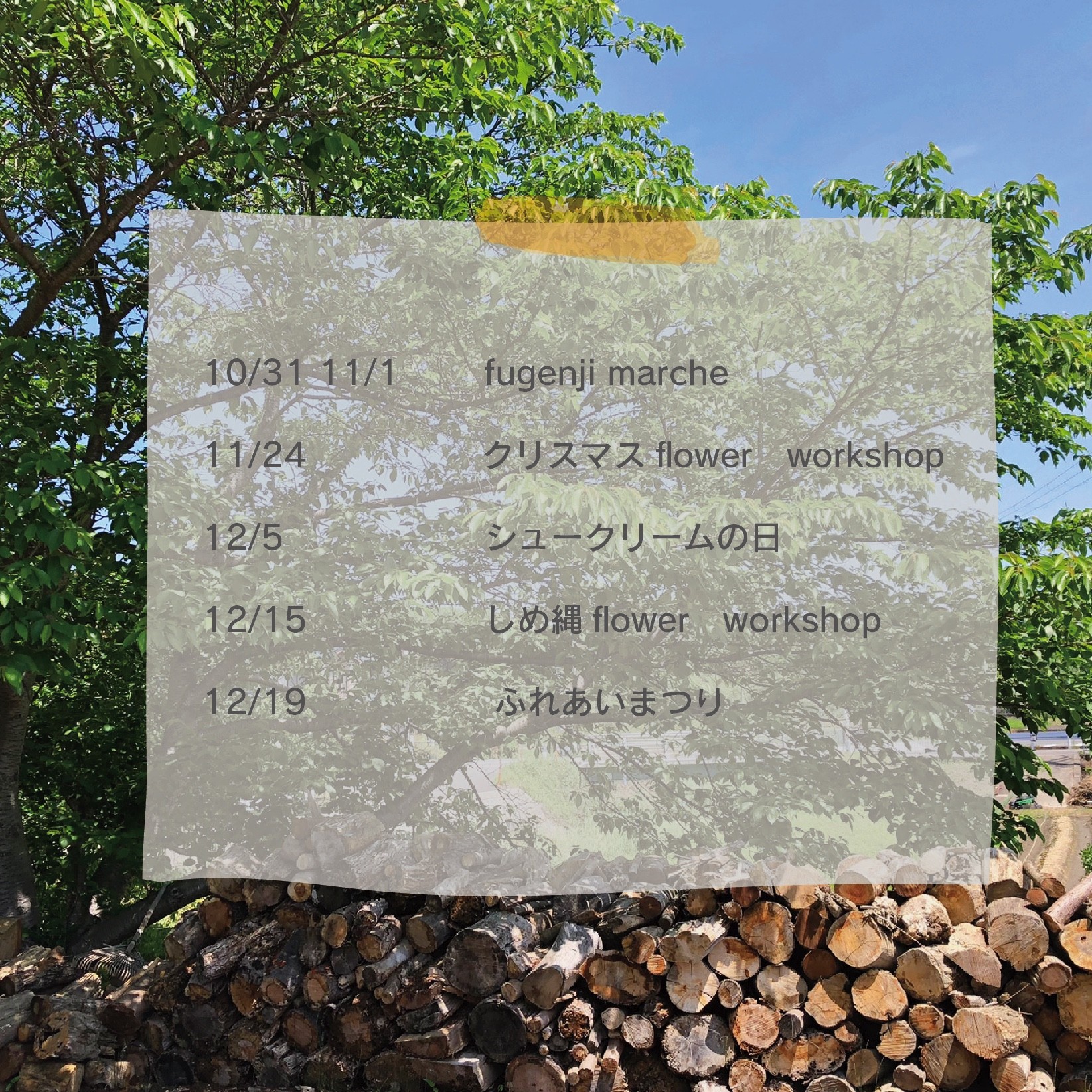 これからの予定の画像
