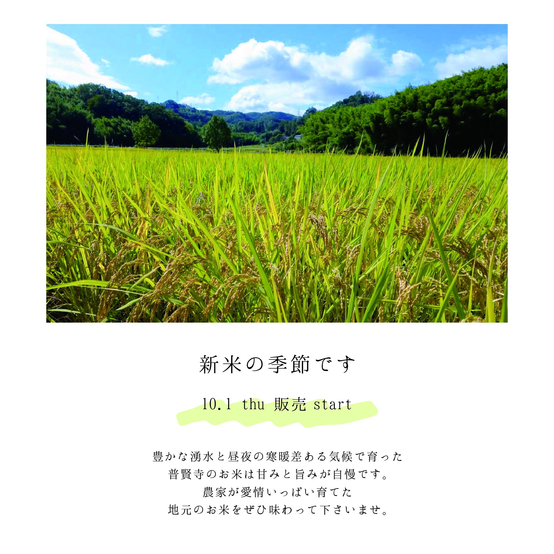 新米の販売の画像